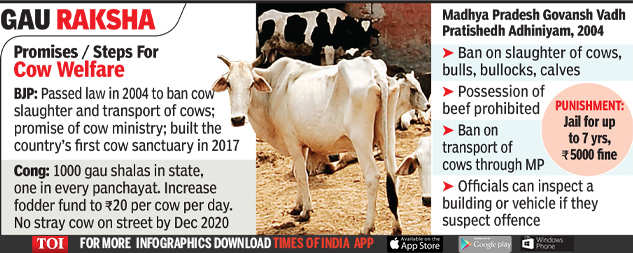 India's first 'cow cabinet' in Madhya Pradesh - Kractivism